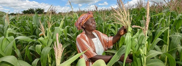 investment agric