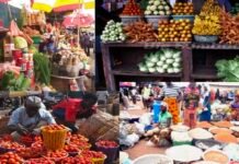 Farmers predict worsening food crisis, blame fuel subsidy removal, insecurity