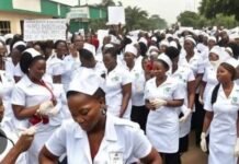 Hospitals grounded as nurses continue strike