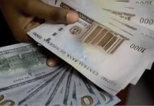 Naira rallies on sustained forex growth