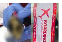 NDLEA uncovers drugs hidden in flight boarding pass