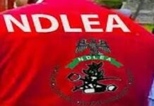NDLEA uncovers N6.7bn stash, nans drug baron, five others