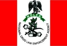 NDLEA arrests musician, uncovers Lagos illicit drug laboratory
