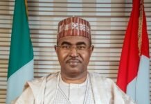 Tinubu reappoints Marwa as NDLEA Chairman for second term