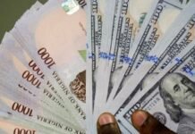 Naira appreciates 1,446.74/$, capital inflows hit $20.98bn