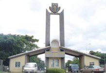 OAU academic attains professorship at 39