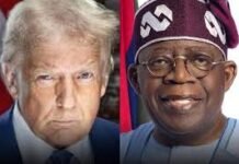 Nigeria suffers nearly N1tn export loss after Trump tariff