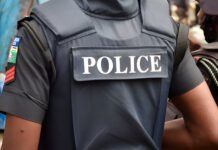 Police apprehend 20 suspected cultists for allegedly killing officer