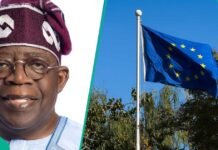 EU Removes Nigeria from High-Risk Terrorism Financing List