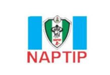 NAPTIP Repatriates 23 Nigerian Victims of Asian Cyber-Trafficking Ring