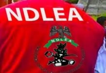 NDLEA Seizes Drugs Hidden in Carton Walls, Creams at Lagos Airport