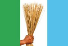 APC weighs direct primaries as consensus plan faces resistance ahead of 2027 elections