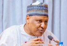 FG Orders Full Independent Probe into Borno Airstrike