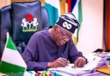 Tinubu Appoints NECO, NBTE Chairmen, Names Polytechnic Rector