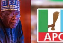 Plateau killings politically motivated, aimed at weakening Tinubu – APC chieftain
