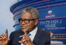 Dangote Refinery Targets Retail Investors in Planned IPO