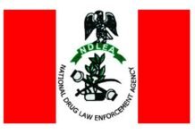 NDLEA vows crackdown on drug cartels’ finances