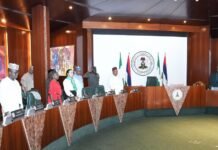 NEC cuts flood prevention budget by half, approves ₦83bn