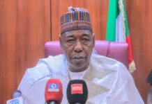 Zulum Opposes Planned Sale of Chad Basin Assets