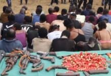 Lagos, Ogun Hail Joint Anti-Kidnapping Operation