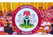 States Kick as Senate Moves to Amend Electricity Act