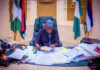 FG raises N5tn through domestic bonds in six months