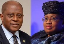 Okonjo-Iweala, Cardoso urge Africa to seize global shifts