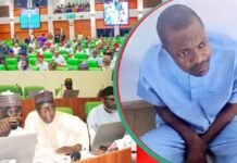 Panel uncovers how fake agency entered 2026 budget