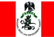 NDLEA Dismantles Three Drug Black Spots In Jigawa