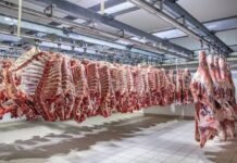U.S. meat imports set to raise Nigeria competition