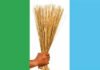 APC Wins Four Of Five Seats In Legislative By-Elections