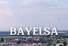 Bayelsa Plans 13 Mini-Grids, Benue Eyes $4bn PlantBayelsa Plans 13 Mini-Grids, Benue Eyes $4bn Plant