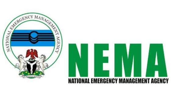 NEMA