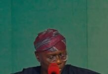 Lagos To Recruit Leadership Fellows Into Civil Service