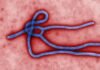 Ebola: How Nigerians Can Prevent Infection