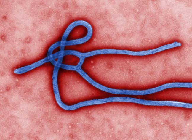 Ebola