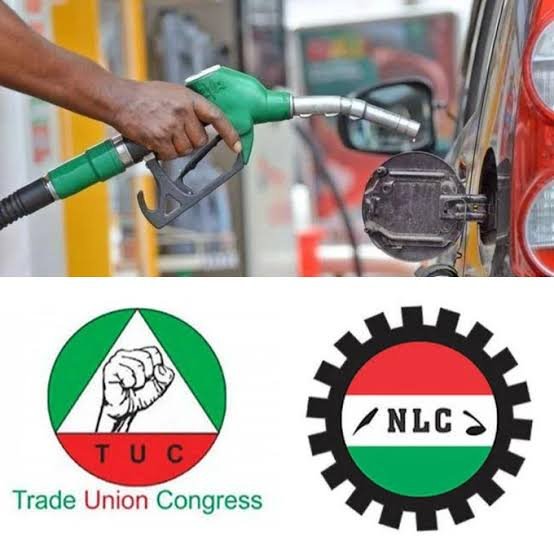 FG Labour