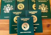 Nigeria’s Passport Ranking Drops to 181 in IziVisa Index