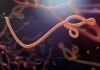Nigeria Evacuates First Imported Ebola Patient to Switzerland