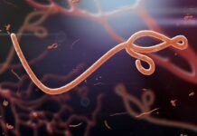 Nigeria Evacuates First Imported Ebola Patient to Switzerland