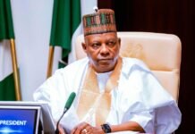 Shettima Urges States to Tackle Power Problems