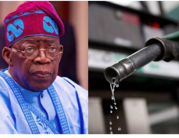 tinubu rule